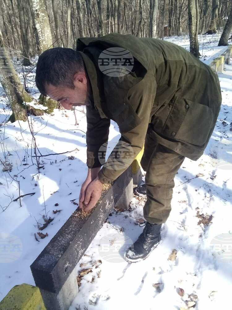 Хранилки за птици бяха поставени в Природен парк "Сините камъни" край Сливен