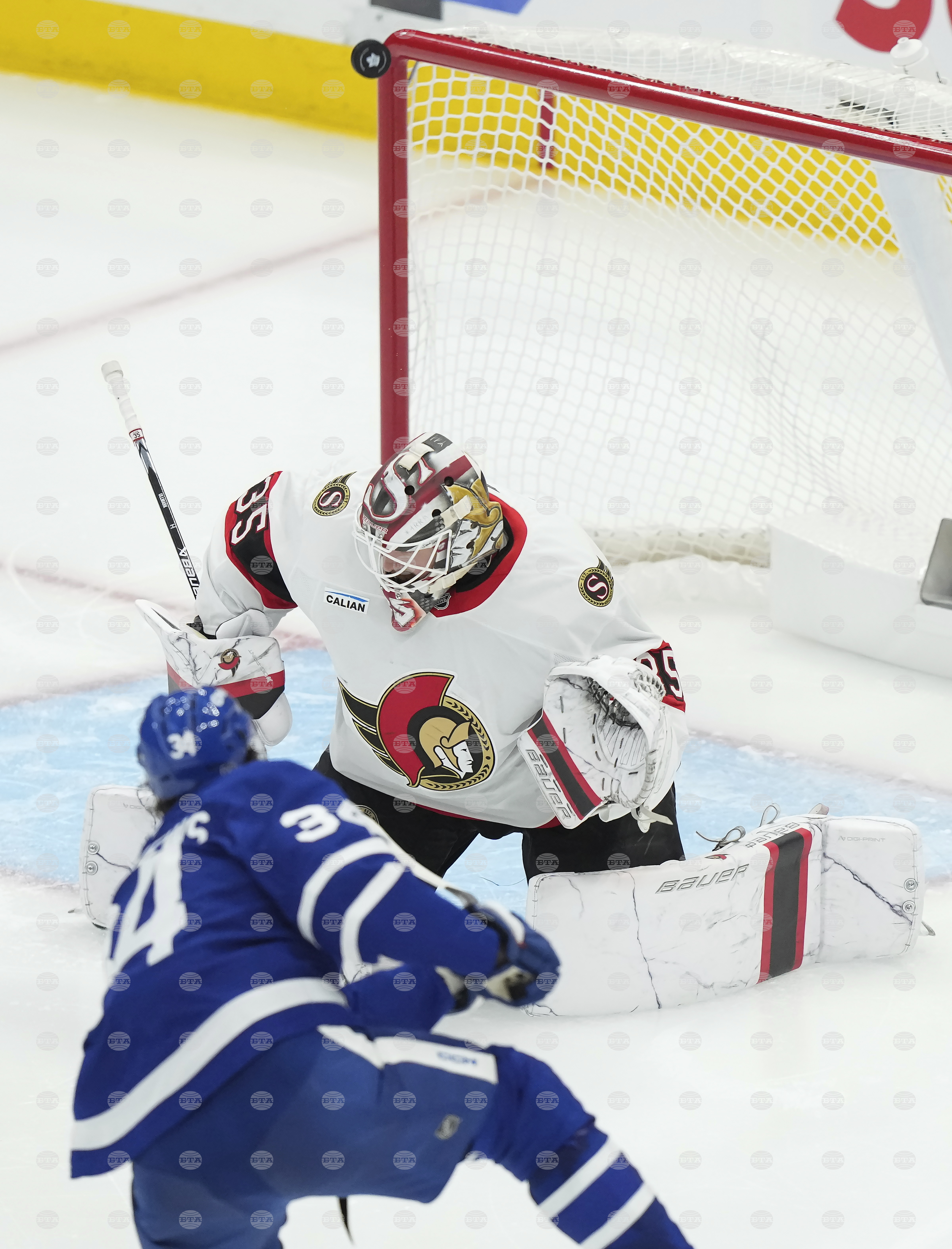 Senators Maple Leafs Hockey