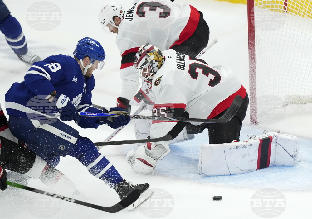 Senators Maple Leafs Hockey