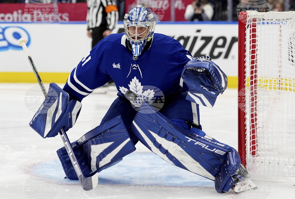 Senators Maple Leafs Hockey
