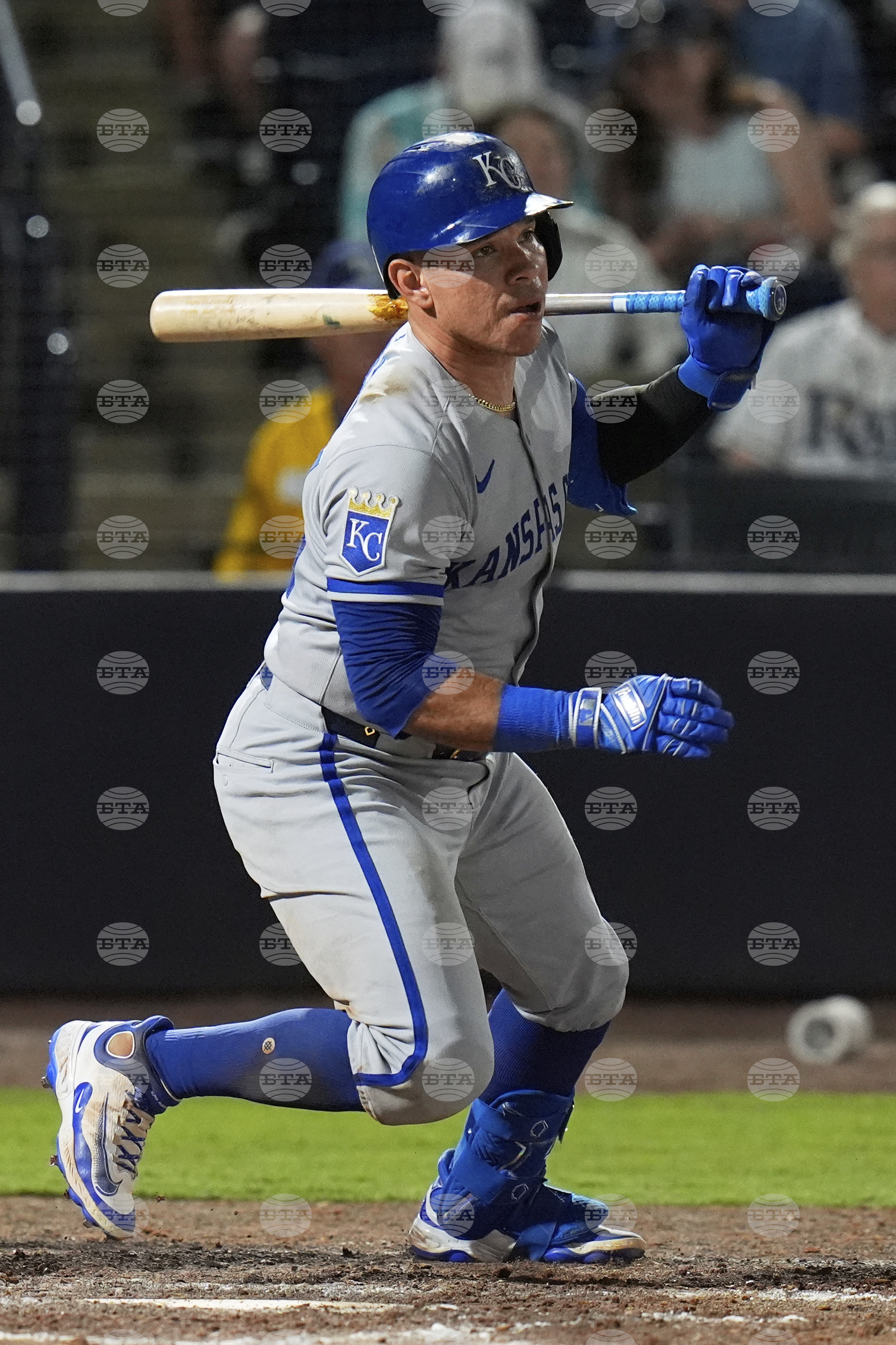 Royals Rays Baseball