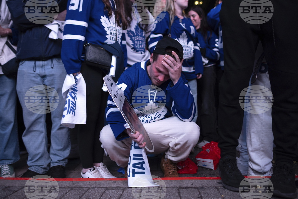 Senators Maple Leafs Hockey