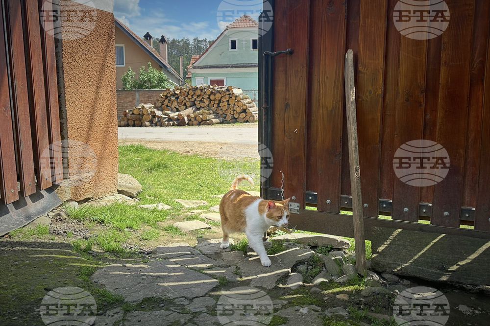 Romania Rural Election