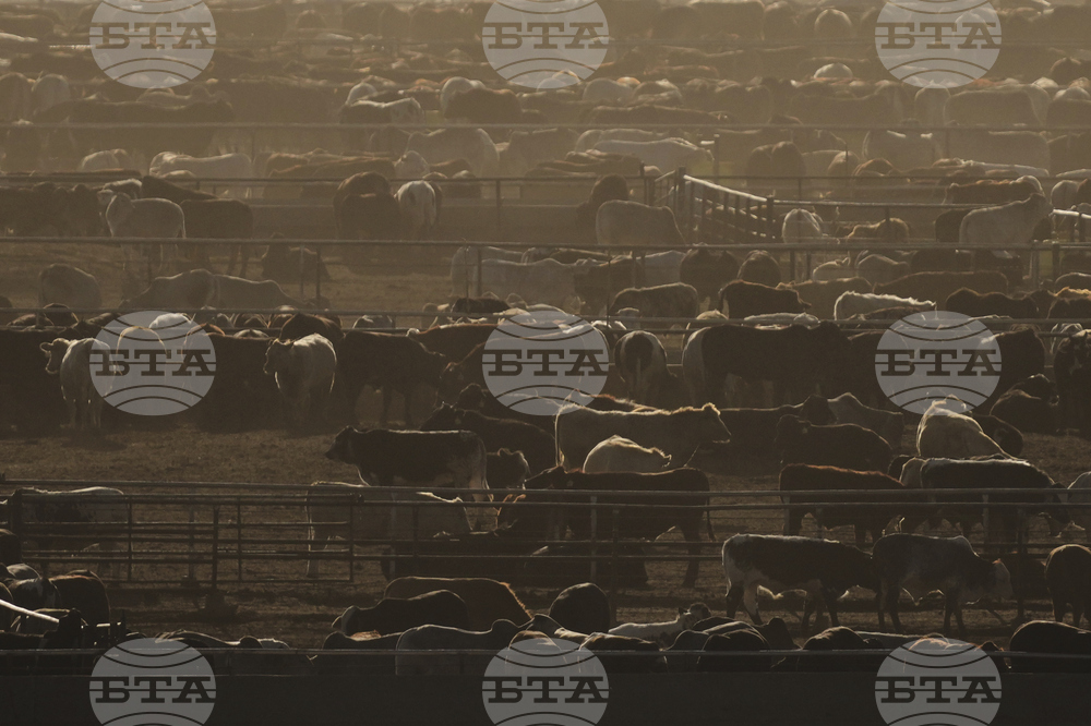 Immigration Texas Panhandle Towns