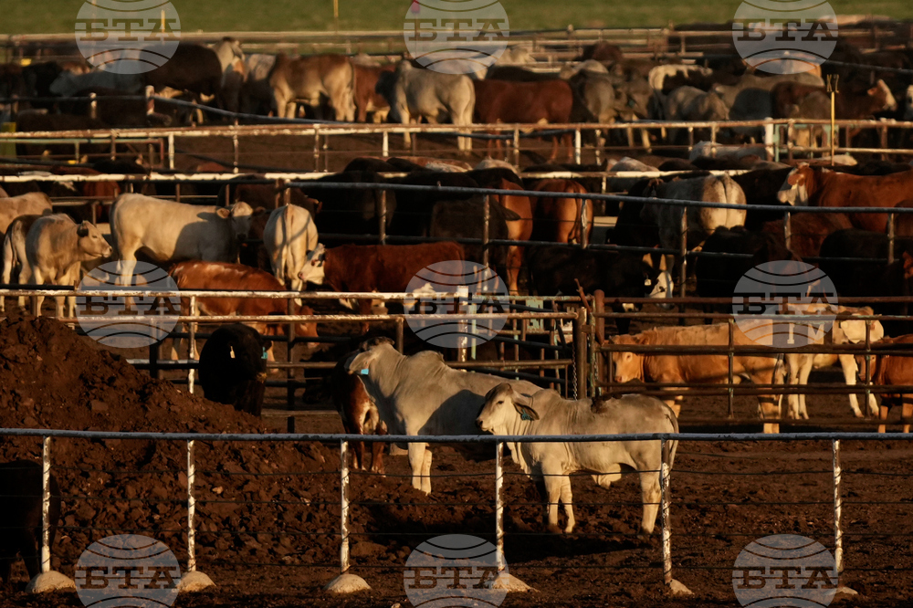 Immigration Texas Panhandle Towns Takeaways
