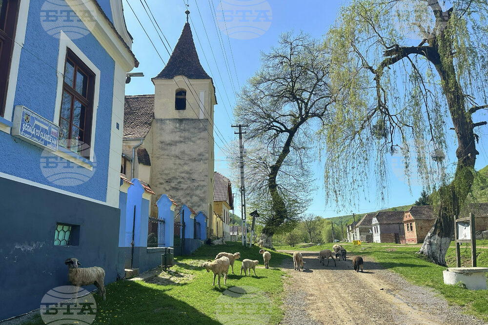 Romania Rural Election