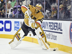 Wild Golden Knights Hockey
