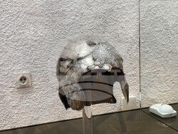 Казанлък - книга - представяне