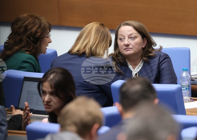 Депутатите промениха дневния си ред, гласуването по второто четене на изменения в Закона за енергията от възобновяеми източници беше отложено