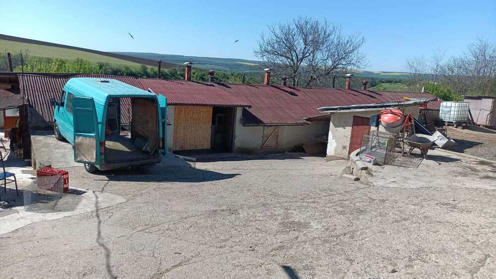 Незаконна птицеферма е разкрита в разградското село Радинград