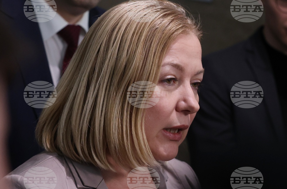 Народно събрание - Демократична България - изявление