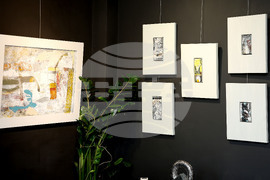 Варна - "Арт галерия Папийон" - Димитър Чолаков - изложба