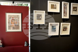 Варна - "Арт галерия Папийон" - Димитър Чолаков - изложба