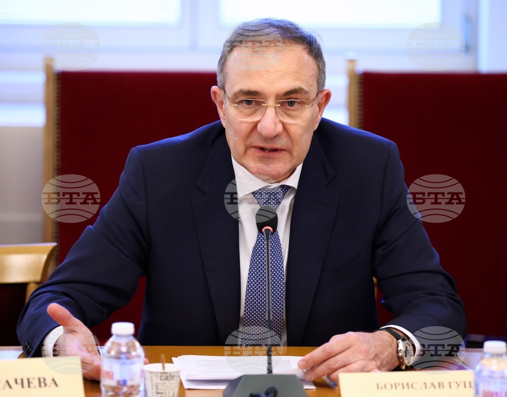 „Демография - тенденции, проблеми и решения“ - дискусия - Борислав Гуцанов