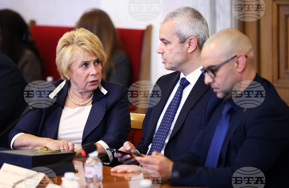 „Демография - тенденции, проблеми и решения“ - дискусия - Борислав Гуцанов