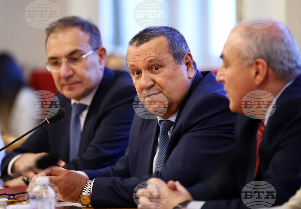 „Демография - тенденции, проблеми и решения“ - дискусия - Борислав Гуцанов