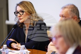 „Демография - тенденции, проблеми и решения“ - дискусия - Борислав Гуцанов