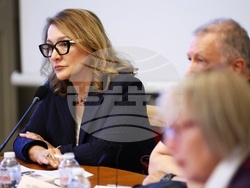 „Демография - тенденции, проблеми и решения“ - дискусия - Борислав Гуцанов