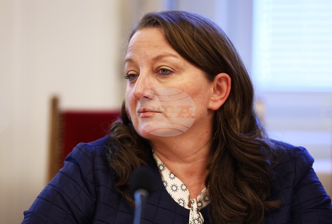 GERB-UDF’s Sacheva: Another Doomed No-Confidence Vote Wastes People's Time