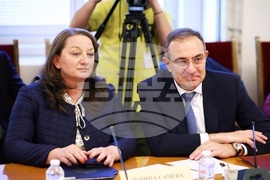 „Демография - тенденции, проблеми и решения“ - дискусия - Борислав Гуцанов