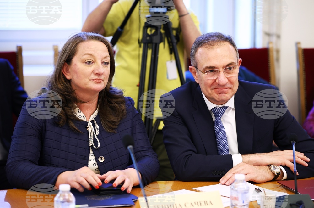 „Демография - тенденции, проблеми и решения“ - дискусия - Борислав Гуцанов