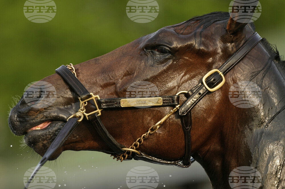 Kentucky Derby-Horse Athleticism