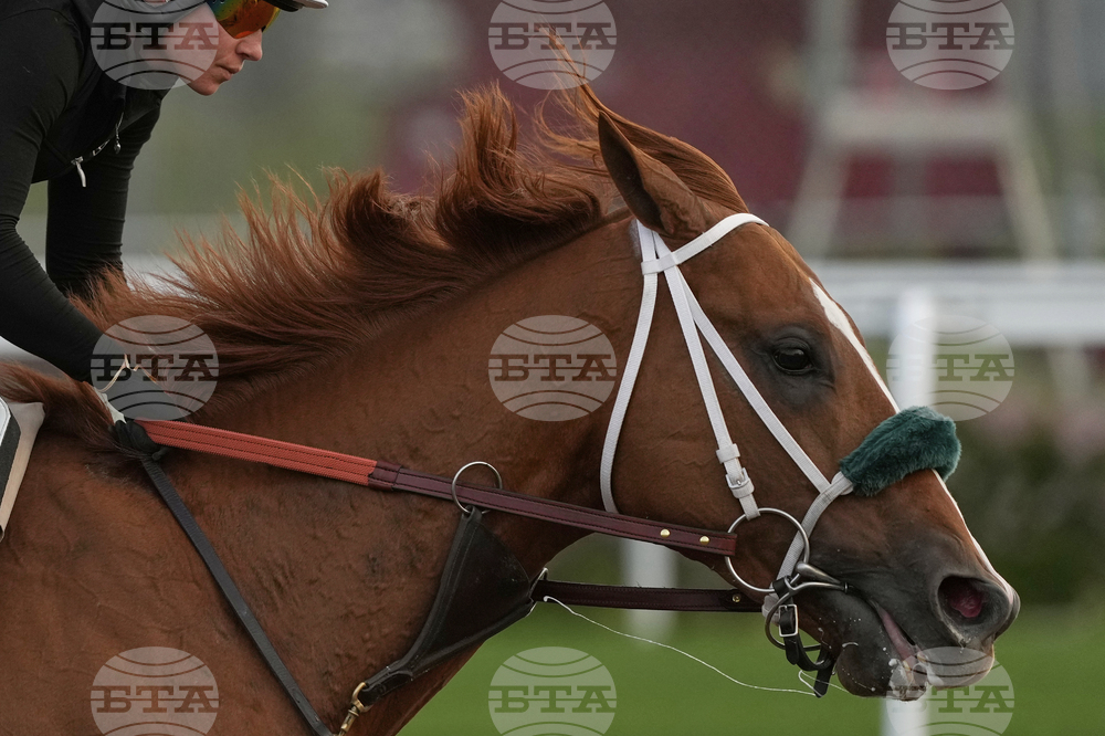 Kentucky Derby-Horse Athleticism