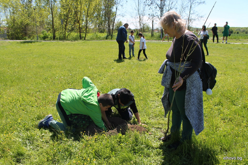 Деца посадиха в парка на Елхово дръвчета, предоставени от „Гората.бг”