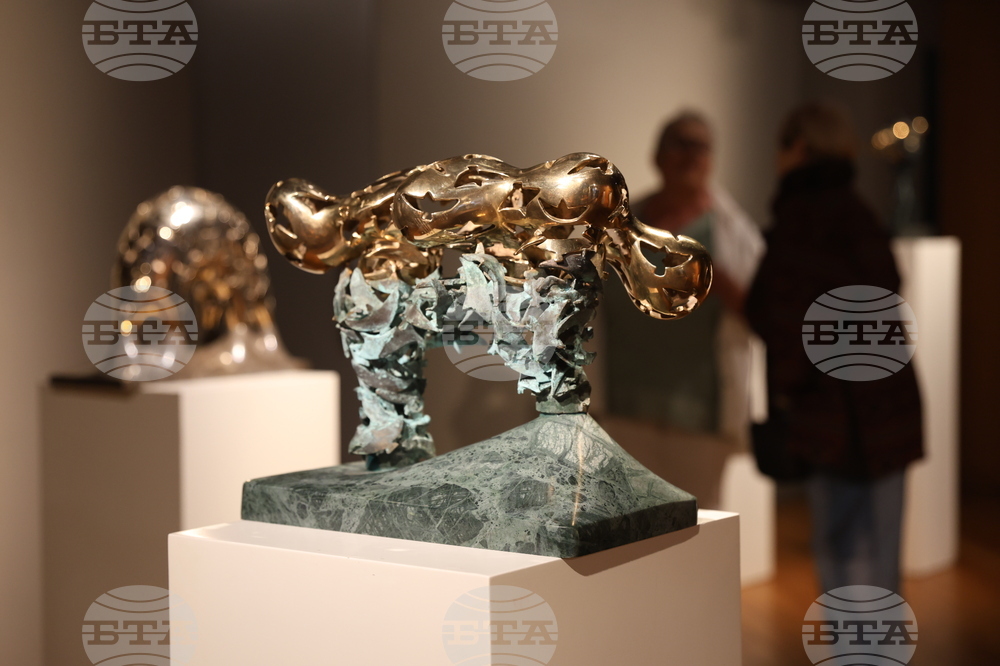 Изложба „Посоки“ - Снежана Симеонова