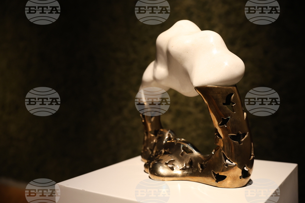 Изложба „Посоки“ - Снежана Симеонова