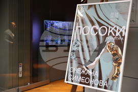 Изложба „Посоки“ - Снежана Симеонова