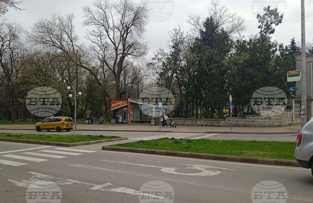 Специални растителни видове и зелени огради около учебните заведения ще се борят с фините прахови частици в Шумен