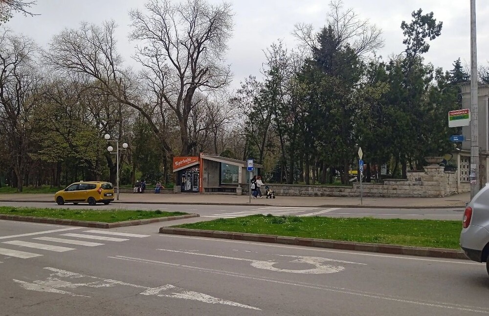 Специални растителни видове и зелени огради около учебните заведения ще се борят с фините прахови частици в Шумен