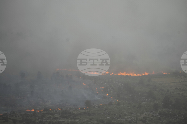Пожар избухна този следобед на полуостров Халкидики в Северна Гърция 