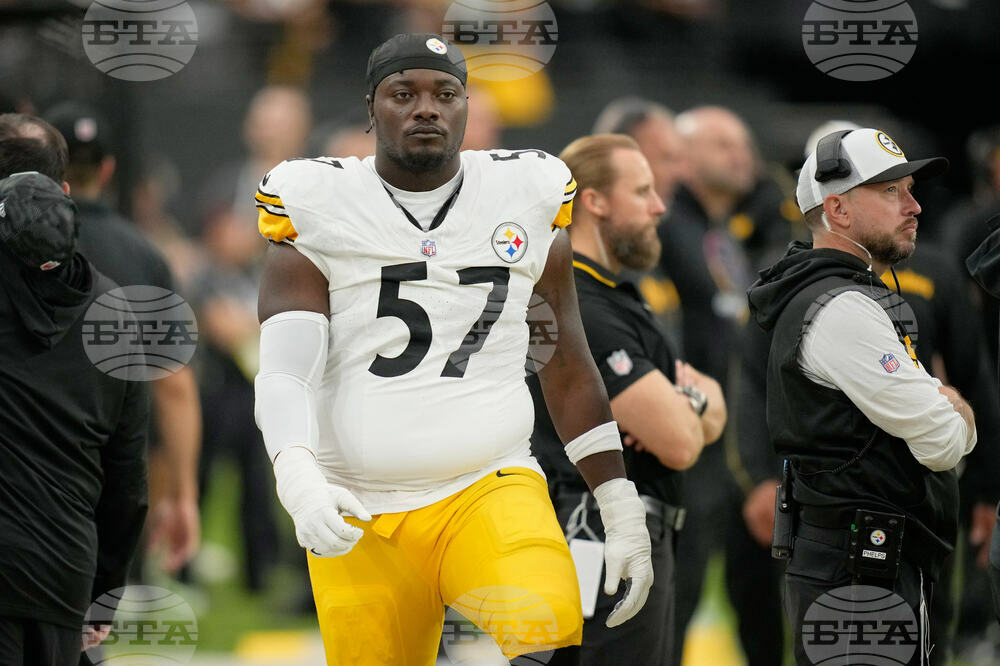 Steelers Adams Football