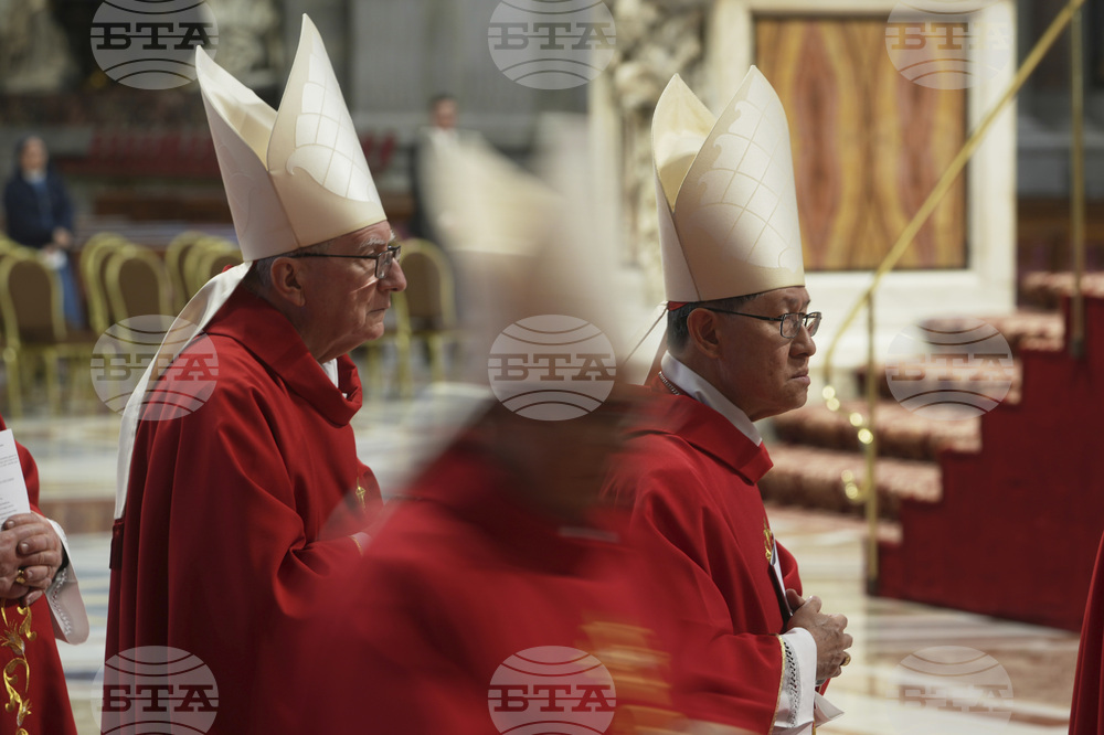 Vatican Pope