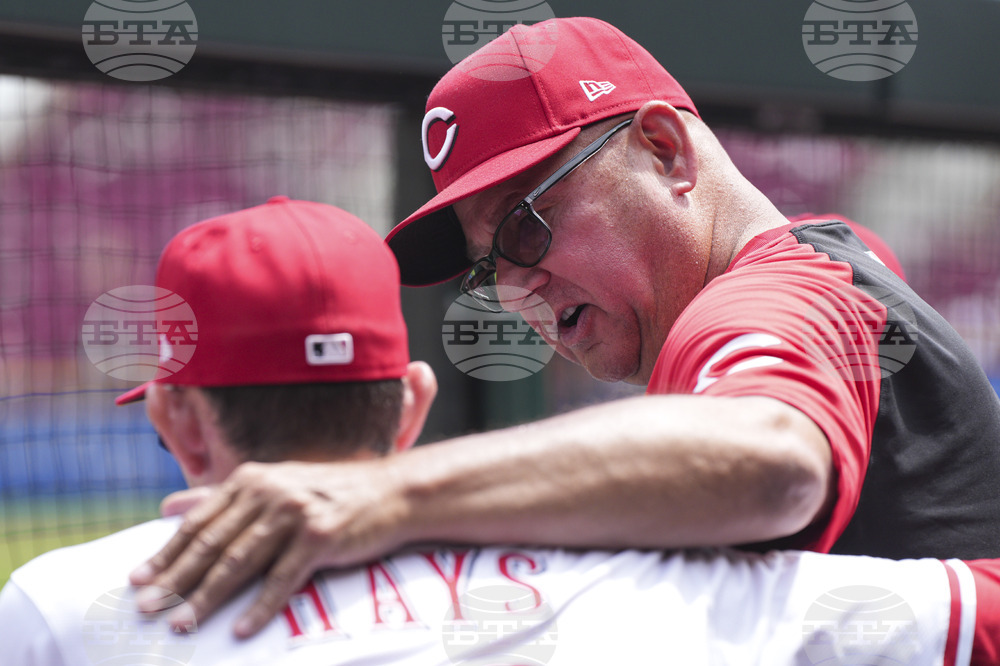 Cardinals Reds Baseball