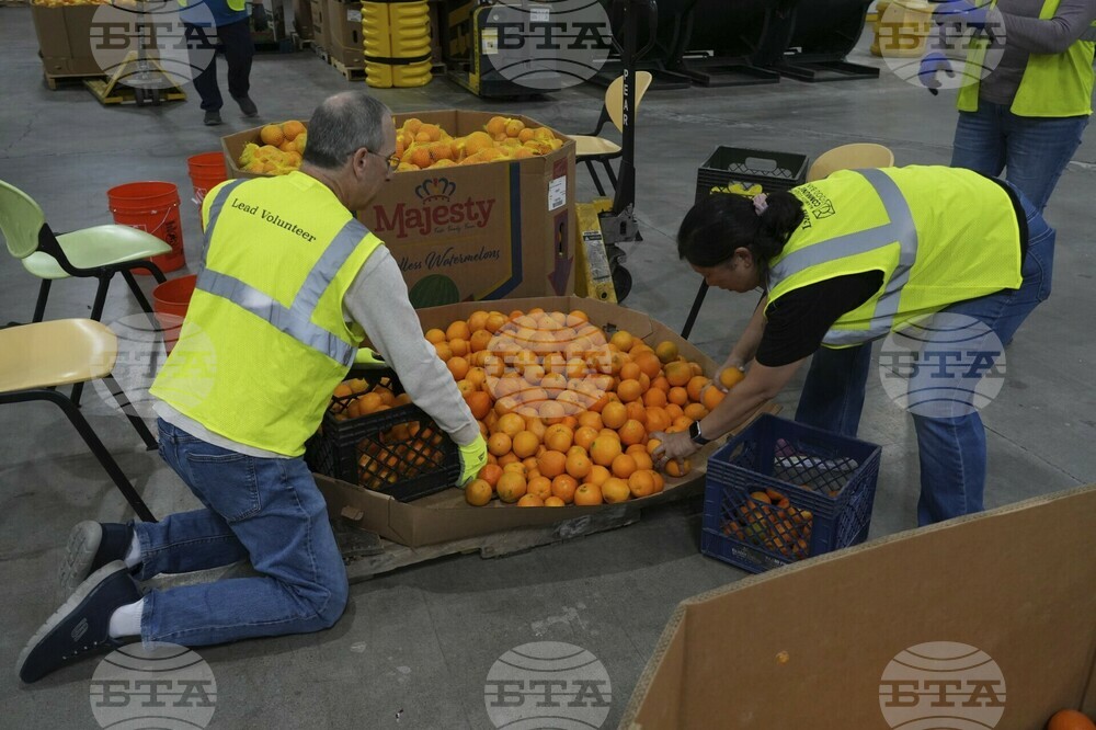 Philanthropy Food Banks
