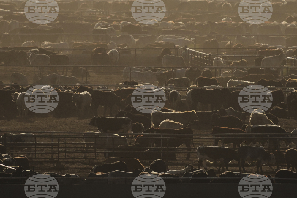 Immigration Texas Panhandle Towns Photo Essay