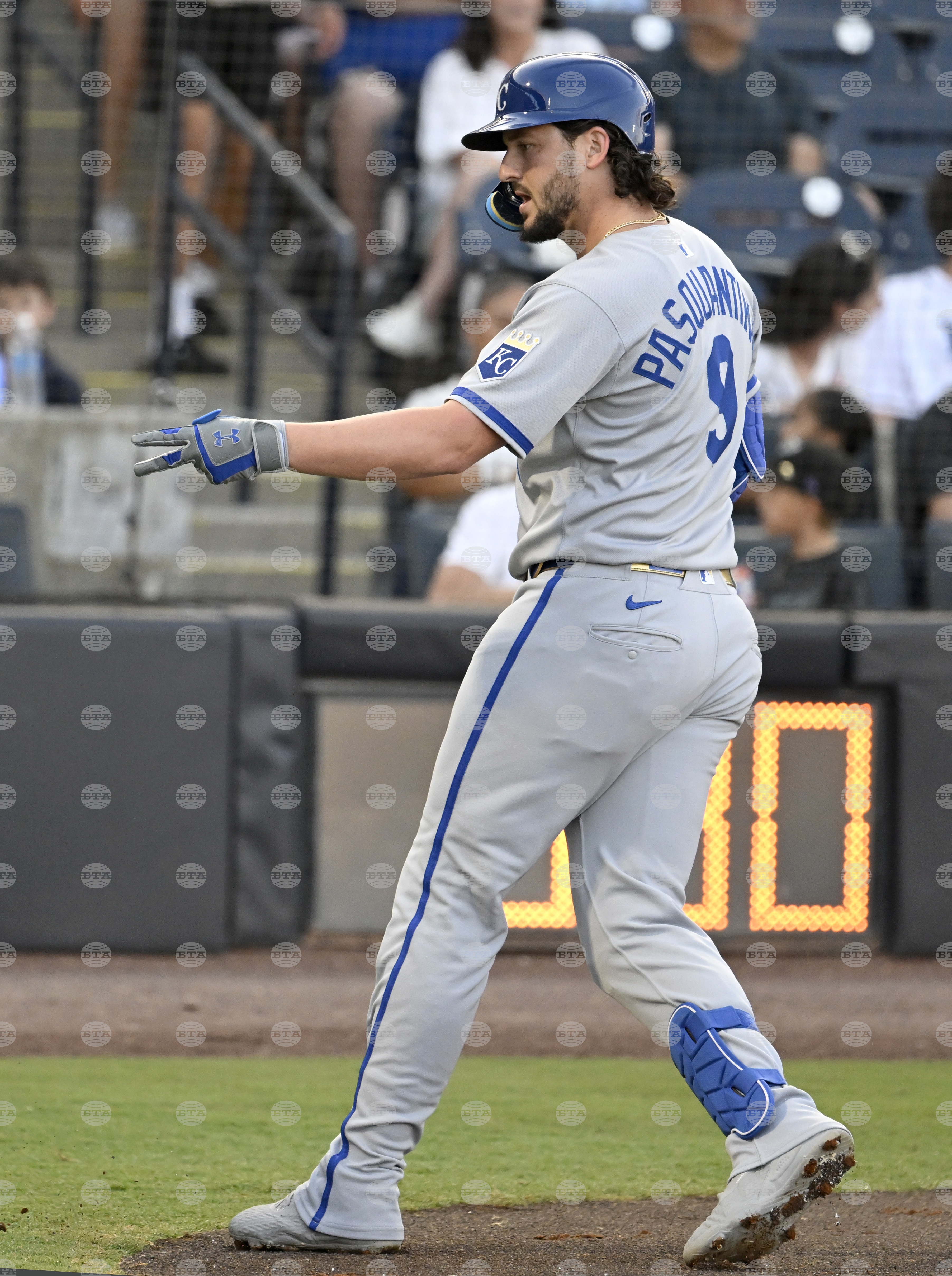 Royals Rays Baseball