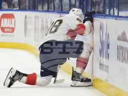 Panthers Lightning Hockey