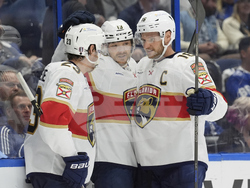 Panthers Lightning Hockey