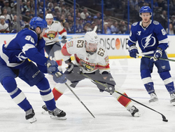 Panthers Lightning Hockey