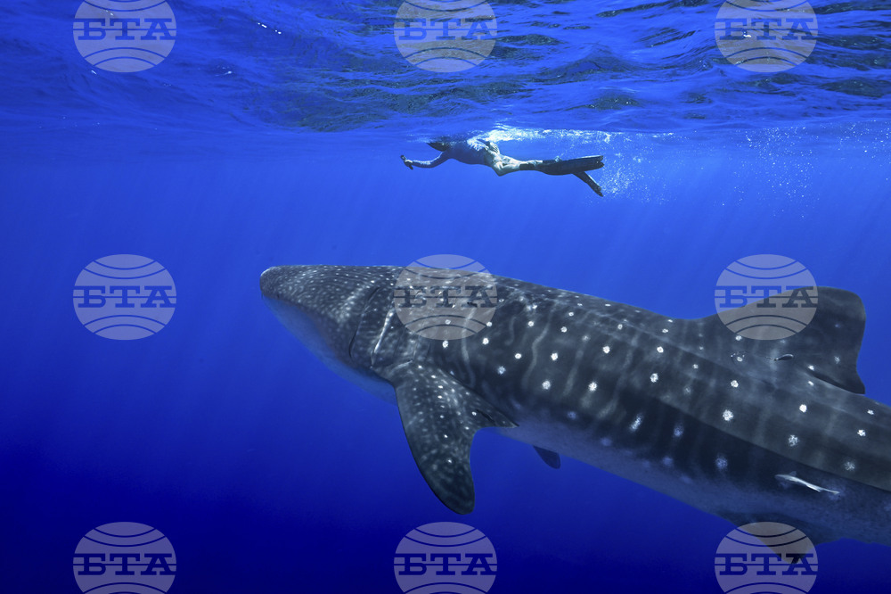 AP Top Photos of the Month April 2025