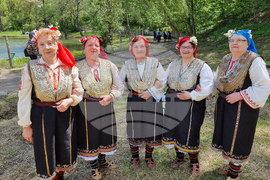 Перник - „Гласове и мелодии от Пернишко” - конкурс