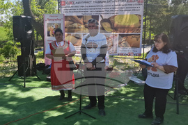 Село Здравец - Национален фестивал на мамалигата и характерни ястия