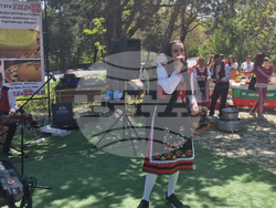 Село Здравец - Национален фестивал на мамалигата и характерни ястия