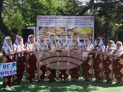 Село Здравец - Национален фестивал на мамалигата и характерни ястия