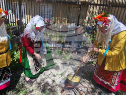 Село Здравец - Национален фестивал на мамалигата и характерни ястия