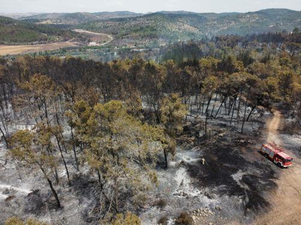 КНА: ЕС активира механизма за защита при пожари в Израел с участието на Кипър, каза председателят на Европейската комисия